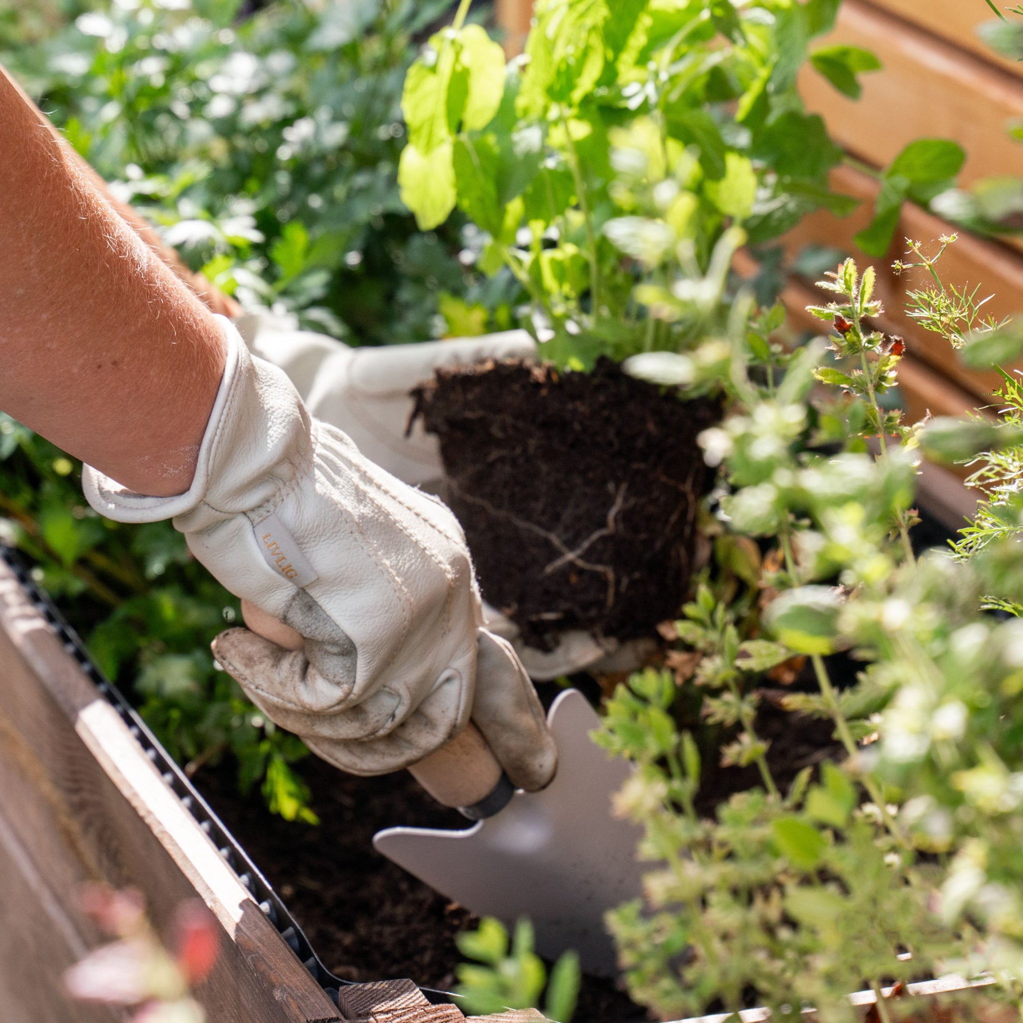 Luvas de Couro para Jardinagem