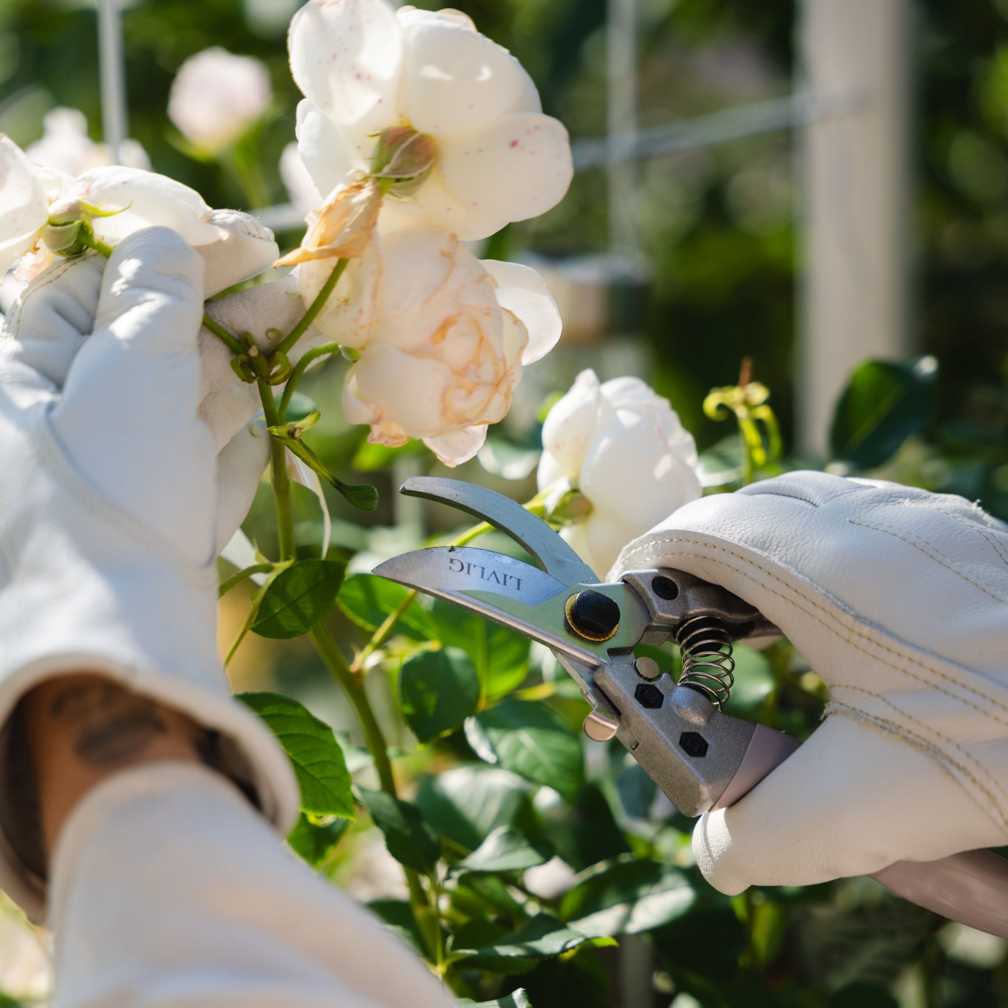 Luvas de Couro para Jardinagem