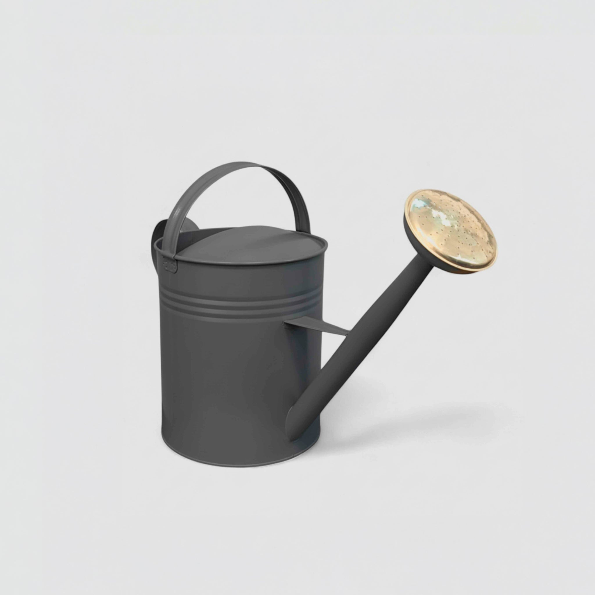 Regador de 10 litros com 2 pegas